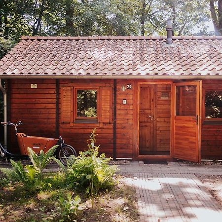 Sfeervolle Blokhut Met Fijne Buitenruimte @ Veluwe Epe Ngoại thất bức ảnh