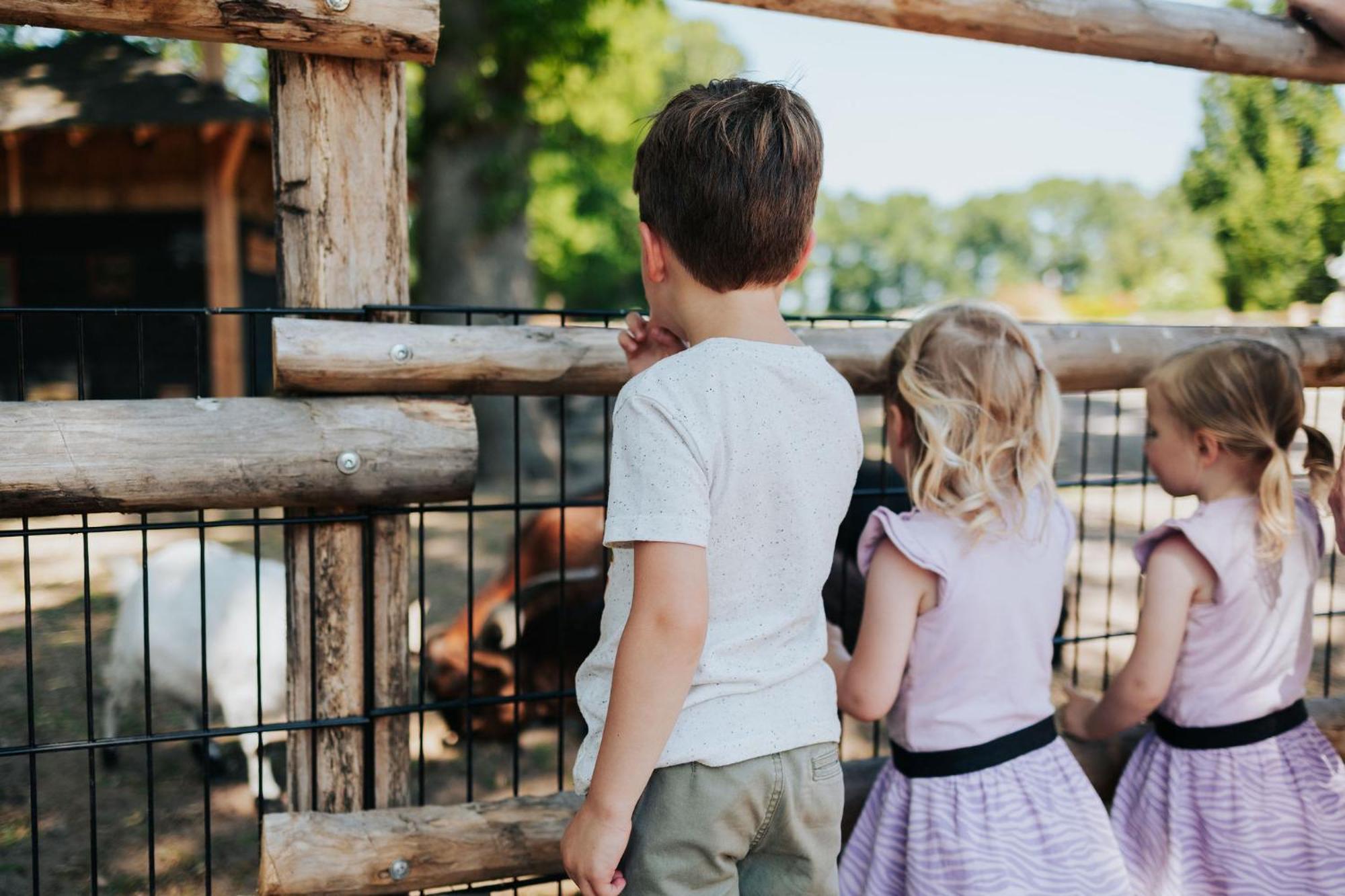 Sfeervolle Blokhut Met Fijne Buitenruimte @ Veluwe Epe Ngoại thất bức ảnh