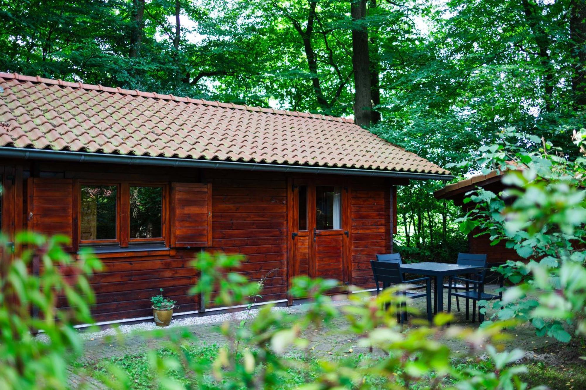 Sfeervolle Blokhut Met Fijne Buitenruimte @ Veluwe Epe Ngoại thất bức ảnh
